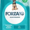 Forza 10 Cibo Secco Pesce Per Cuccioli E Per Cani in Gravidanza Sacco 12kg