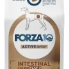 Forza10 Intestinal Colon Fase I Cibo Secco Pesce Per Cani Adulti Sacco 4kg