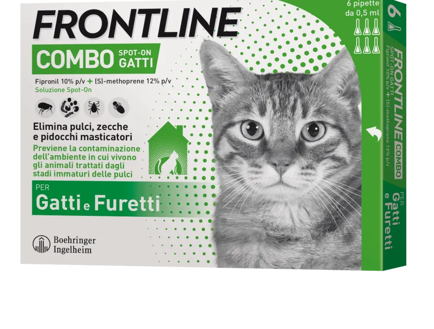 Frontline Combo Soluzione Spot On Gatti E Furetti 6x0,5ml