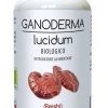 Ganoderma Lucidum Reishi 60 Capsule