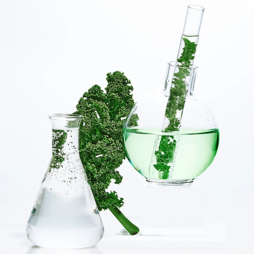 Garnier Maschera In Tessuto Ampolla Detox Estratto Cavolo Nero/Niacinamide 1 Pezzo
