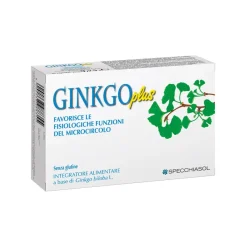 Ginkgo Plus 30 Capsule