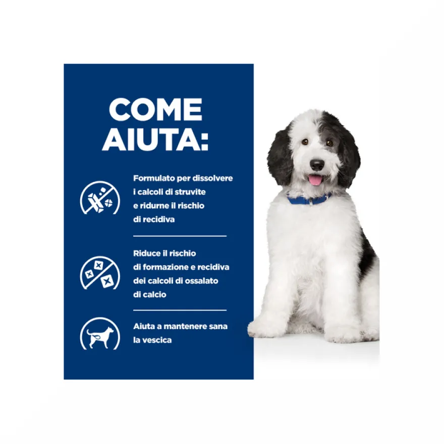 Hill's Prescription Diet C/D Multicare Urinary Care Crocchette Di Pollo Per Cani Sacco 4 Kg