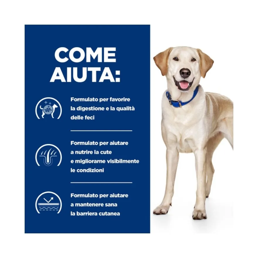 Hill's Prescription Diet D/D Crocchette Di Anatra E Riso Per Cani Sacco 12kg