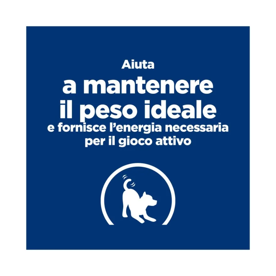 Hill's Prescription Diet J/D Metabolic+Mobility Crocchette Per Cani Taglia Mini Sacco 1kg