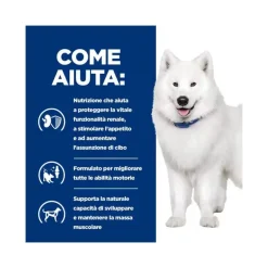 Hill's Prescription Diet K/d + Mobility Spezzatino Per Cani 345g