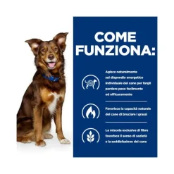 Hill's Prescription Diet Metabolic Spezzatino Per Cani 345g