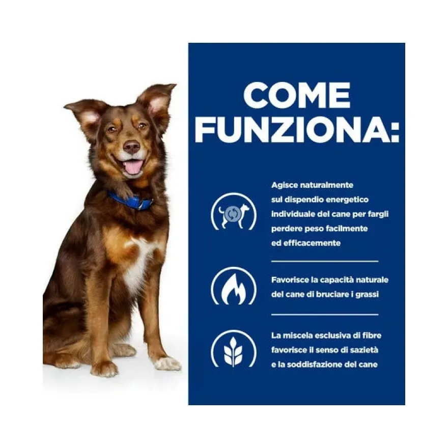 Hill's Prescription Diet Metabolic Spezzatino Per Cani 345g