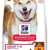 Hill's Science Plan Adult 1-6 No Grain Chicken 12kg