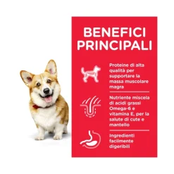 Hill's Science Plan Adult Small E Mini Fino A 10 Kg Per Cani Crocchette Pollo Sacco 300g
