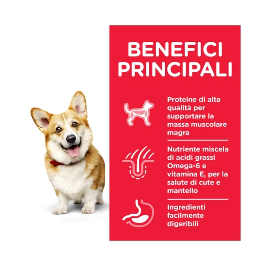 Hill's Science Plan Adult Small E Mini Fino A 10 Kg Per Cani Crocchette Pollo Sacco 300g