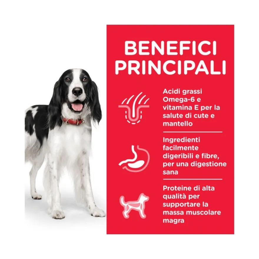 Hill's Science Plan Bocconcini Manzo Per Cani Adulti 370g