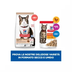 Hill's Science Plan Culinary Creations Medium Adult Crocchette per Gatti con Salmone E Carote 10kg
