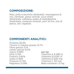 Hill's Science Plan Large Breed Puppy Crocchette Con Pollo Per Cuccioli Sacco 14,5Kg