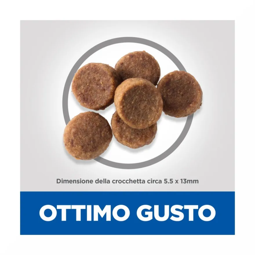 Hill's Science Plan Large Breed Puppy Crocchette Con Pollo Per Cuccioli Sacco 14,5Kg