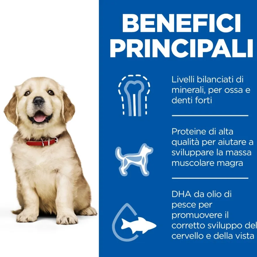 Hill's Science Plan Large Breed Puppy Crocchette Con Pollo Per Cuccioli Sacco 14,5Kg