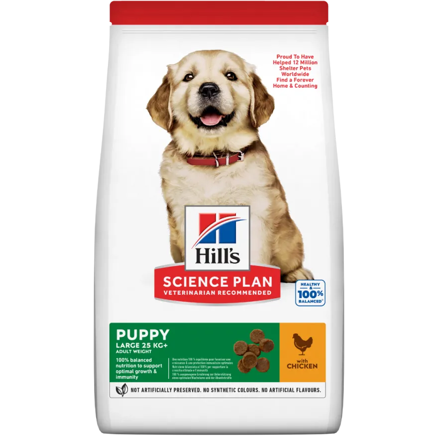Hill's Science Plan Large Breed Puppy Crocchette Con Pollo Per Cuccioli Sacco 14,5Kg