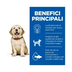 Hill's Science Plan Large Breed Puppy Crocchette Con Pollo Per Cuccioli Sacco 2,5 Kg