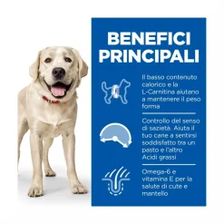 Hill's Science Plan Light Adult Crocchette Con Pollo Per Cani Taglia Large Sacco 14 Kg