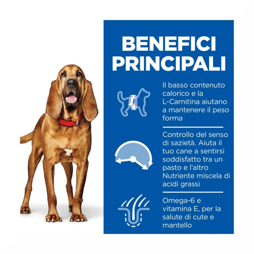 Hill's Science Plan Light Mature Adult Crocchette Con Pollo Per Cani Taglia Media Sacco 14Kg