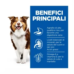 Hill's Science Plan Mature Adult 7+ Crocchette con Agnello e Riso per Cani Taglia Media Sacco 14 Kg