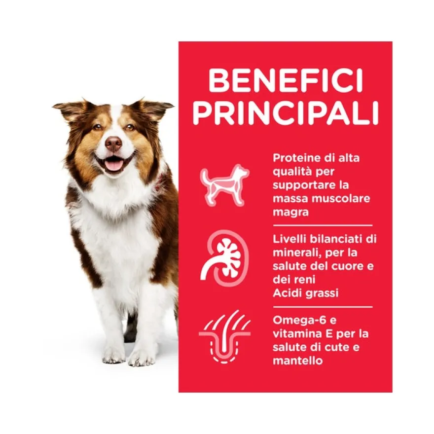 Hill's Science Plan Mature Bocconcini Pollo Per Cani Adulti Lattina 370g