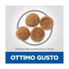 Hill's Science Plan Medium Adult Crocchette con Agnello e Riso per Cani Sacco 14 Kg