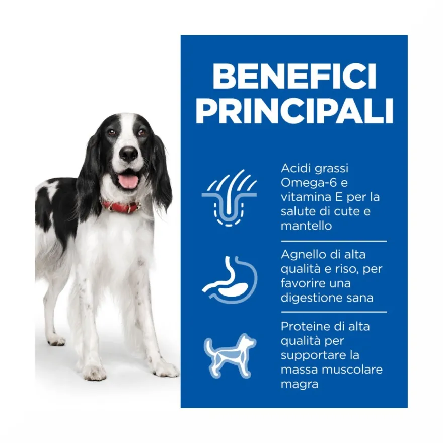 Hill's Science Plan Medium Adult Crocchette con Agnello e Riso per Cani Sacco 14 Kg