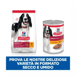 Hill's Science Plan Medium Adult Crocchette con Pollo Per Cani Sacco 14 Kg