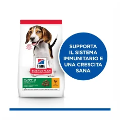 Hill's Science Plan Medium Breed Puppy Crocchette Con Pollo Per Cuccioli Sacco 14 Kg