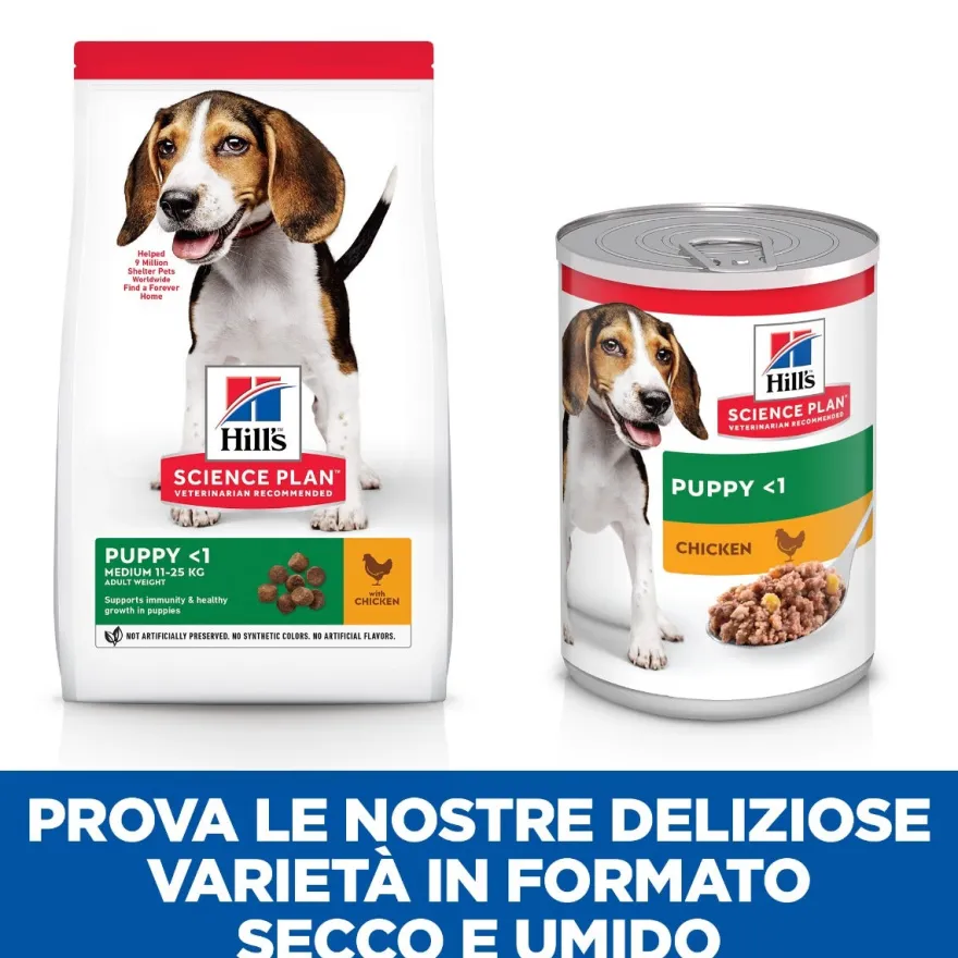 Hill's Science Plan Medium Breed Puppy Crocchette Con Pollo Per Cuccioli Sacco 14 Kg
