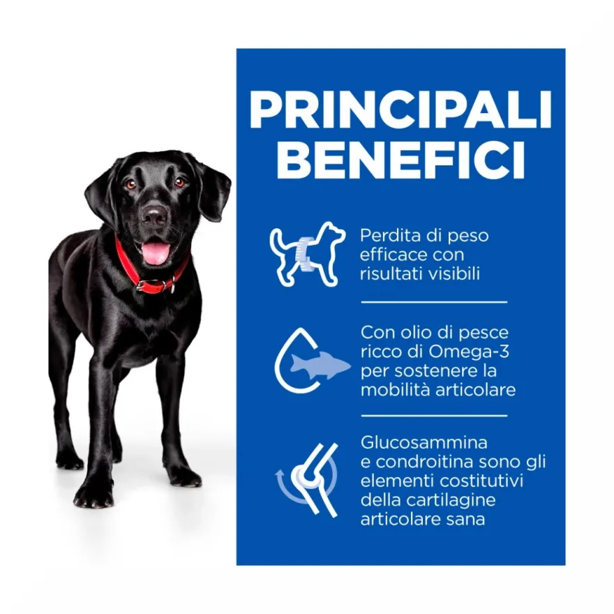 Hill's Science Plan Perfect Weight & Active Mobility Adult Crocchette Con Pollo Per Cani Taglia Grande Sacco 12 Kg