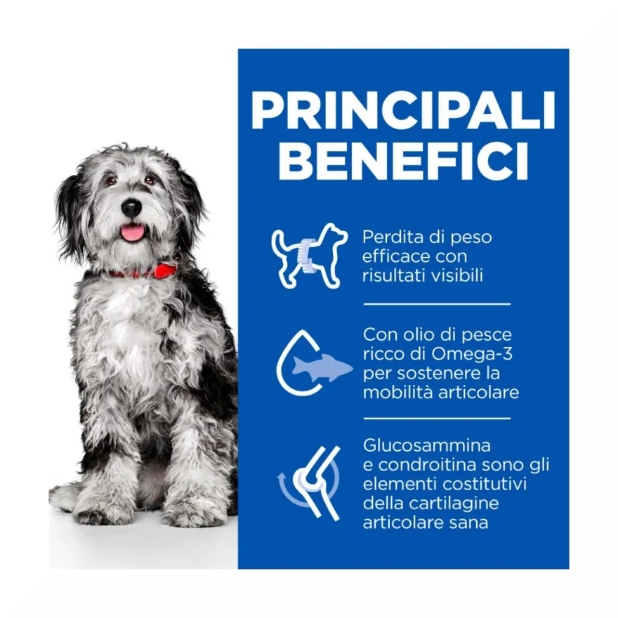 Hill's Science Plan Perfect Weight & Active Mobility Adult Crocchette Con Pollo Per Cani Taglia Media Sacco 2,5 Kg