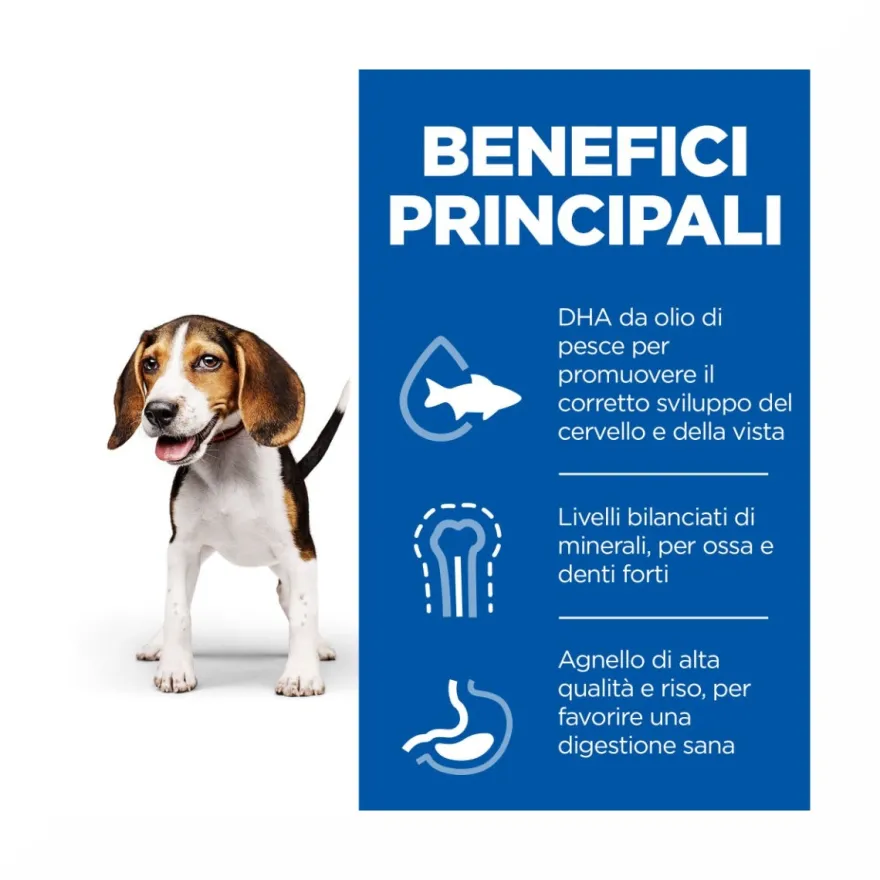 Hill's Science Plan Puppy Medium Crocchette All'agnello E Riso Per Cuccioli Sacco 14 Kg
