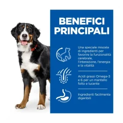 Hill's Science Plan Senior Vitality Mature Adult 6+ Crocchette Con Pollo E Riso Per Cani Taglia Grande 12Kg