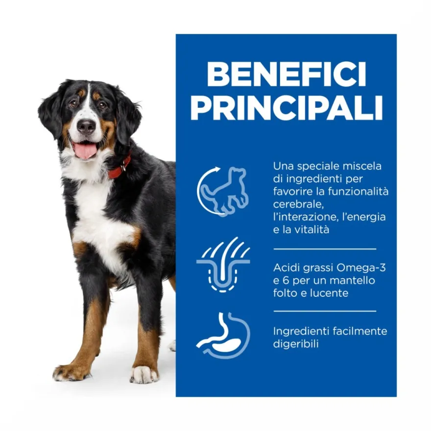 Hill's Science Plan Senior Vitality Mature Adult 6+ Crocchette Con Pollo E Riso Per Cani Taglia Grande 12Kg