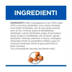 Hill's Science Plan Senior Vitality Mature Adult 6+ Crocchette Con Pollo E Riso Per Cani Taglia Grande 12Kg