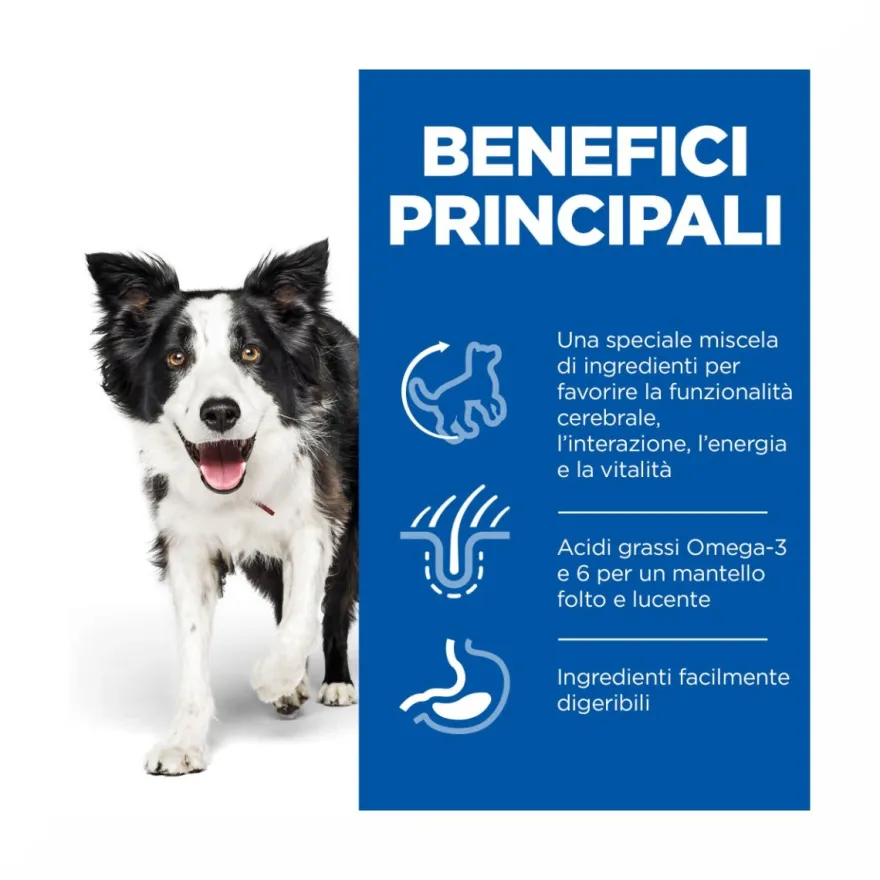 Hill's Science Plan Senior Vitality Mature Adult 7+ Crocchette Con Pollo E Riso Per Cani Taglia Media 12Kg