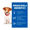Hill's Science Plan Small & Mini Adult Crocchette con Agnello e Riso per Cani Sacco 6 Kg