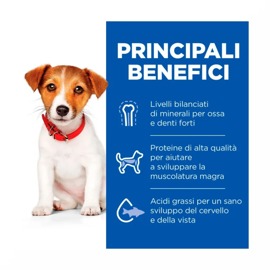 Hill's Science Plan Small & Mini Adult Crocchette con Agnello e Riso per Cani Sacco 6 Kg