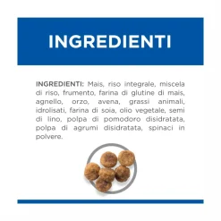 Hill's Science Plan Small & Mini Adult Crocchette con Agnello e Riso per Cani Sacco 6 Kg