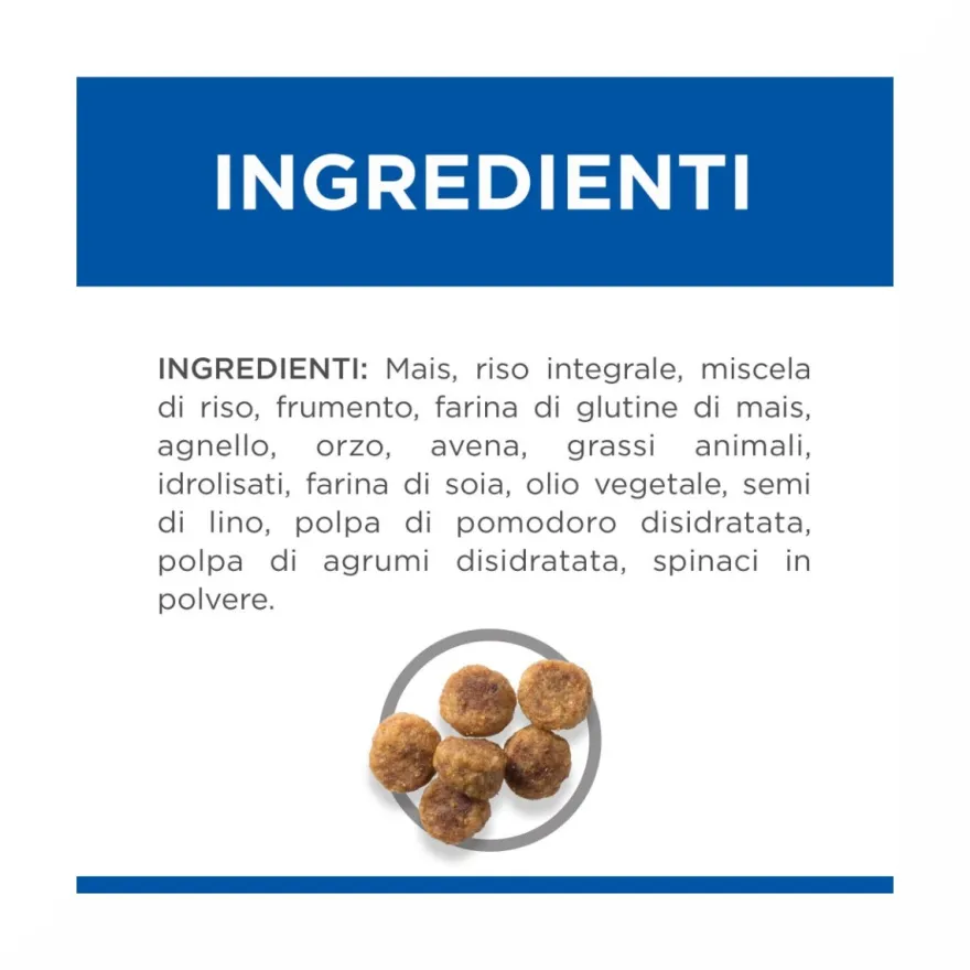 Hill's Science Plan Small & Mini Adult Crocchette con Agnello e Riso per Cani Sacco 6 Kg