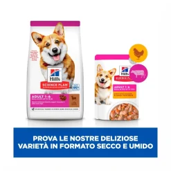 Hill's Science Plan Small & Mini Adult Crocchette con Agnello e Riso per Cani Sacco 6 Kg