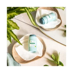 Klorane Maschera Stick Purificante Menta Acquatica Bio 25g