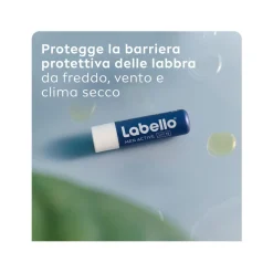 Labello Active for Men Burrocacao Labbra Idratante E Protettivo Con Spf15 Con Burro Di Karité 4,8g