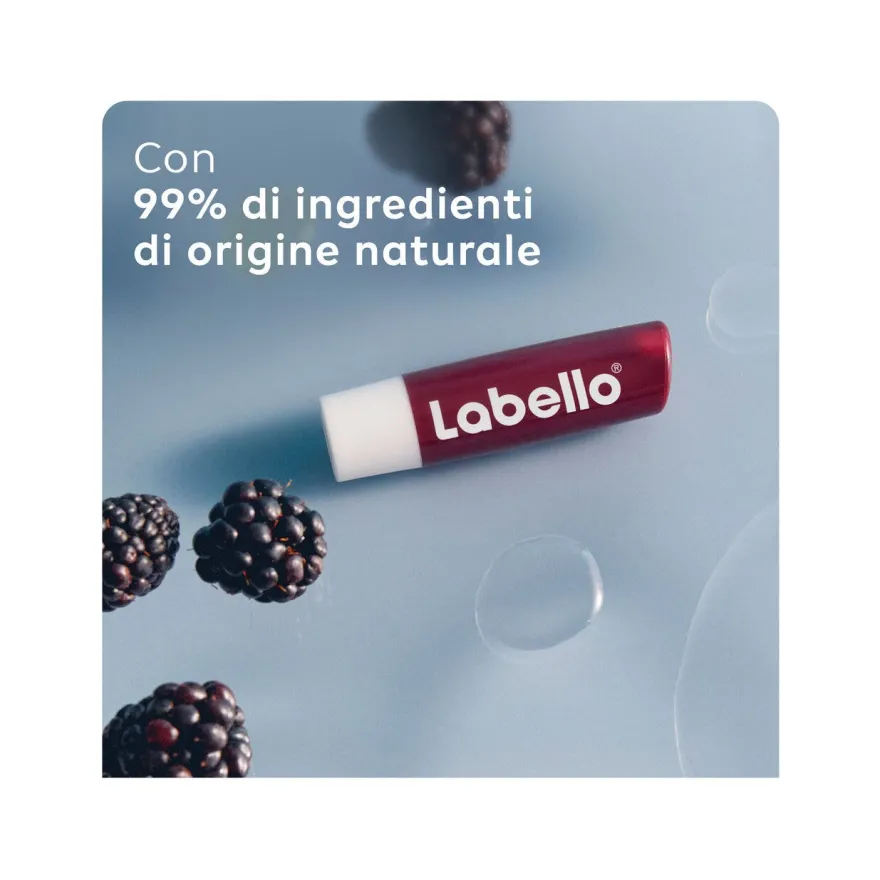 Labello Blackberry Shine Burrocacao Labbra Colorato E Idratante All'aroma Di Mora 4,8g