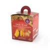 La Dolce Vita Dolcettone Panettone Per Cani Gusto Classico 80g