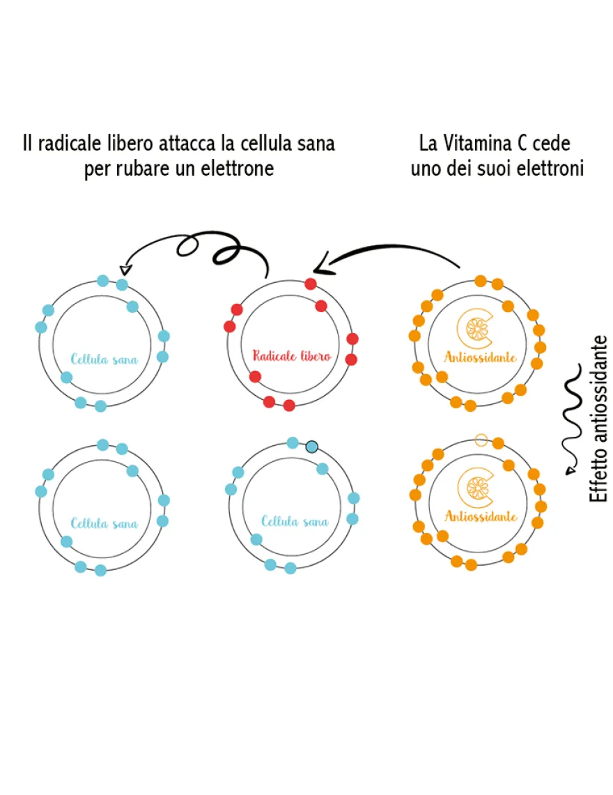La Saponaria Attivo Puro Vitamina C 30ml
