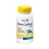 Longlife Marine Cartilage Extract 90 Capsule