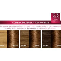 L'Oréal Paris Excellence Tinta Capelli 5.3 Castano Chiaro Dorato 1 Pezzo